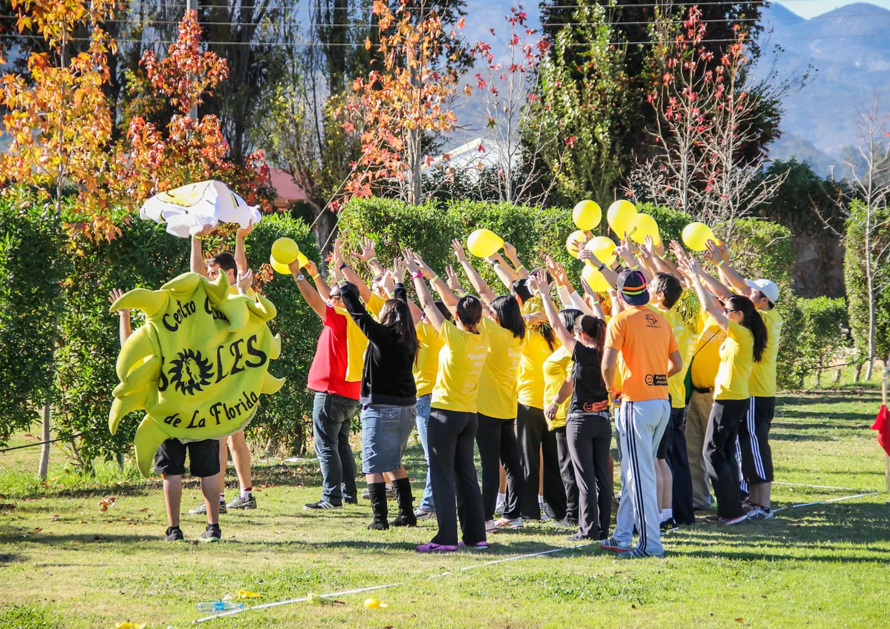 Integración y Energía de Equipo