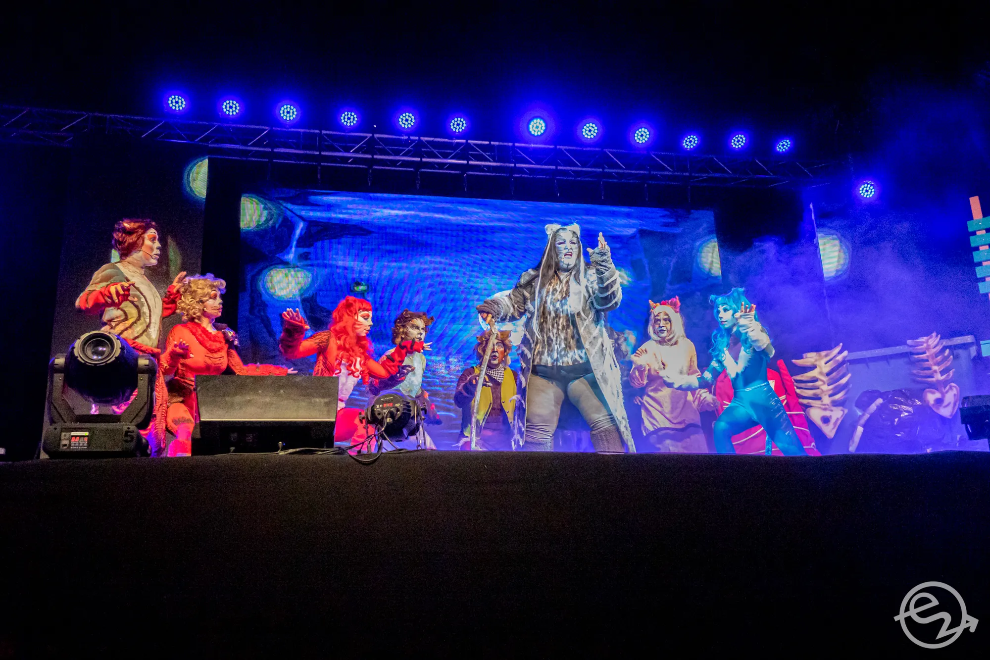 Shows y actividades